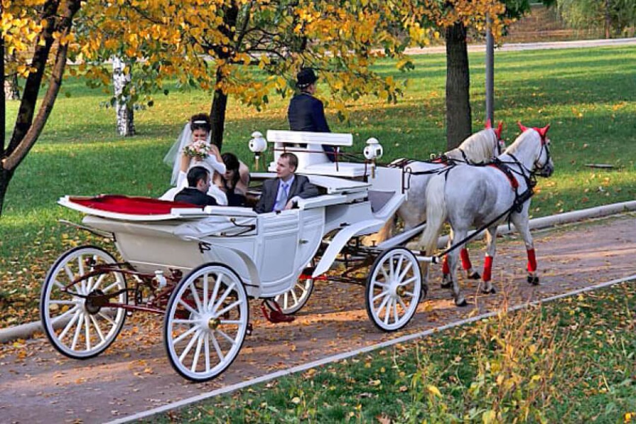 Катания на лошадях вдвоём. Конный клуб Konipark в Новокузнецке