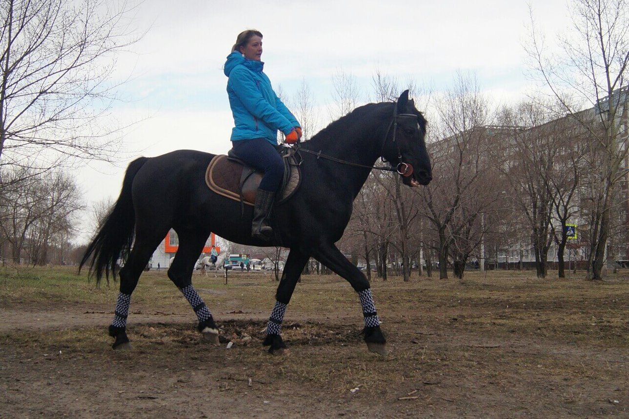 Катания на лошадях вдвоём. Конный клуб Konipark в Новокузнецке